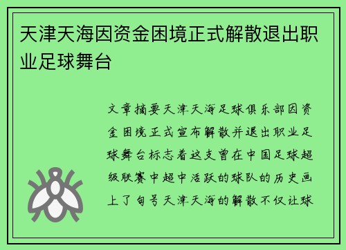 天津天海因资金困境正式解散退出职业足球舞台